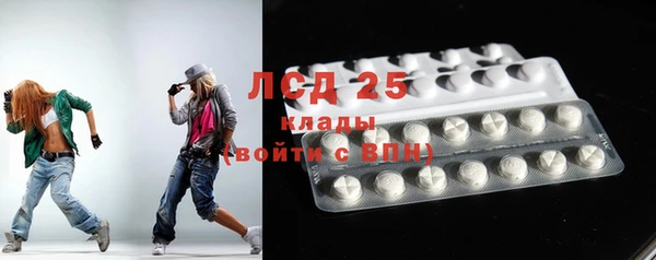 шишки Алзамай