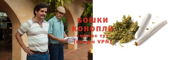 шишки Алзамай