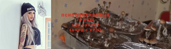 шишки Алзамай