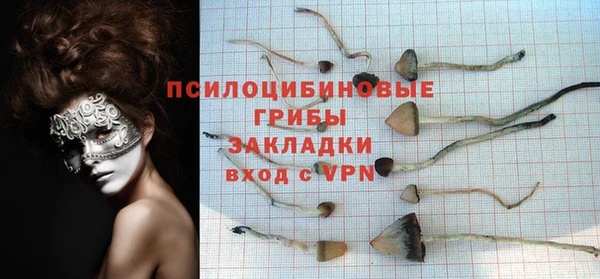 шишки Алзамай