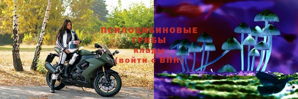 шишки Алзамай