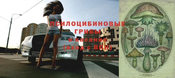 альфа пвп Алексеевка