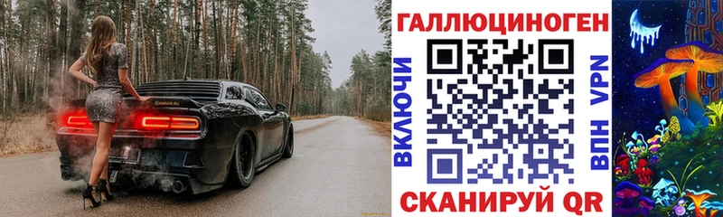 как найти закладки  Ветлуга  Псилоцибиновые грибы GOLDEN TEACHER 